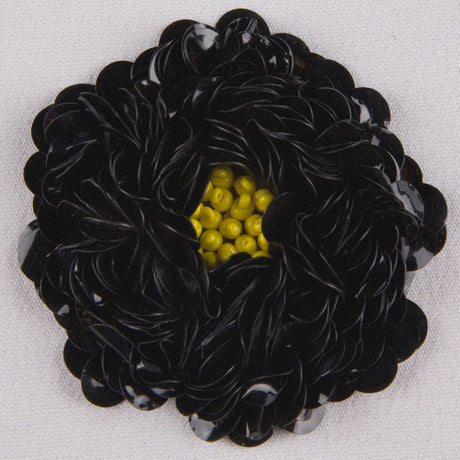 Sequin Applique