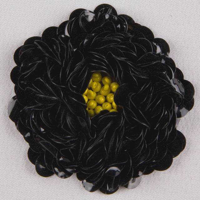 Sequin Applique