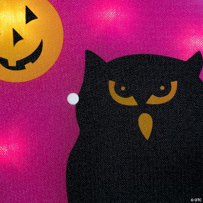 13.75" Lighted Owl Halloween Window Silhouette