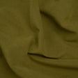 Apple Polyester Velvet