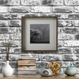 Walnut Effect Deep Frame 19¾" x 19¾" with Safe Plastic Front Protection