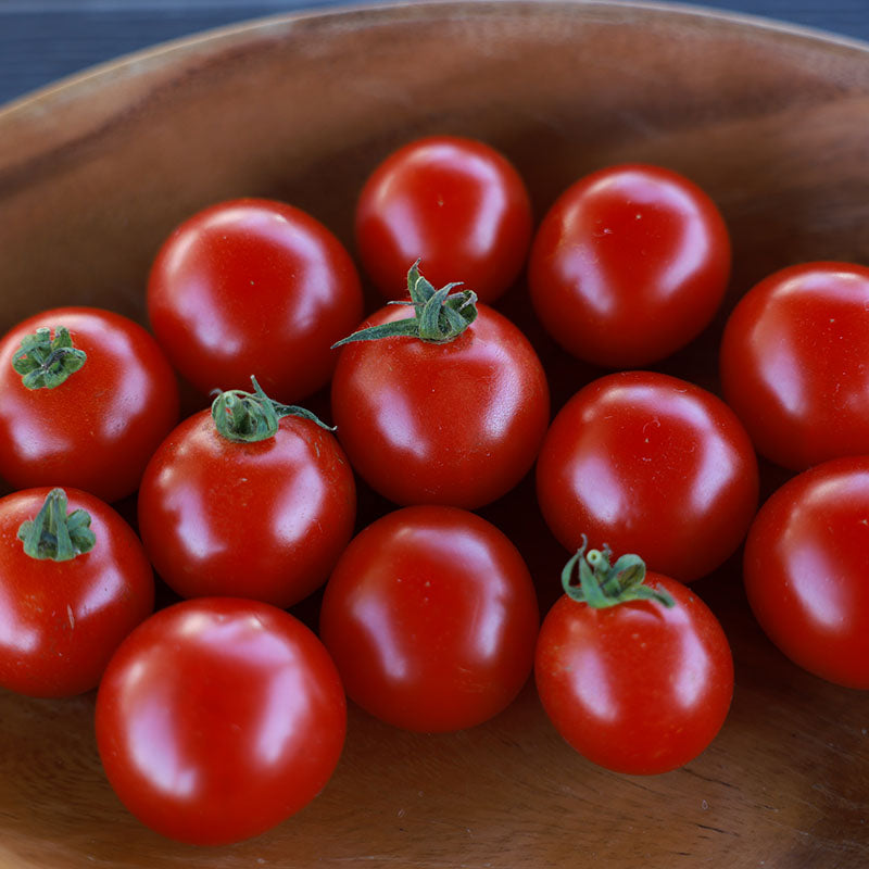 Tomato Badabing! F1 Seed