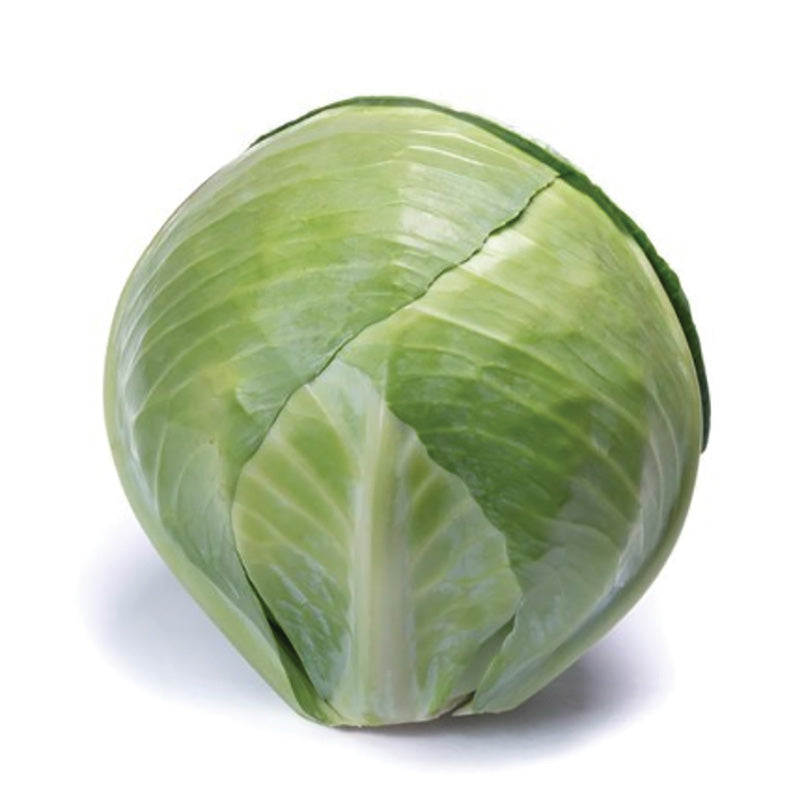 Cabbage Ovation F1 Seed