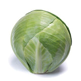 Cabbage Ovation F1 Seed