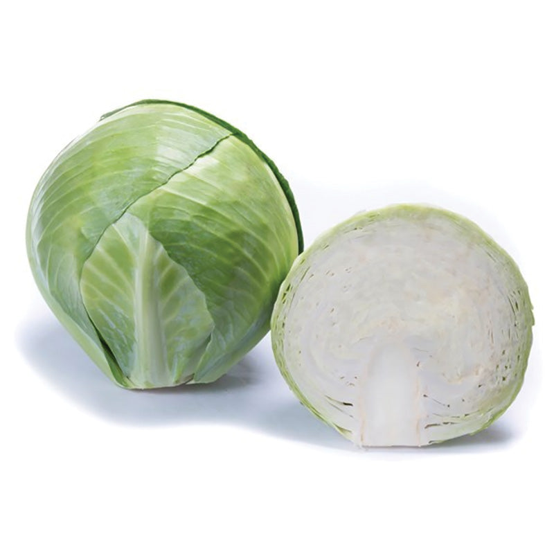 Cabbage Ovation F1 Seed