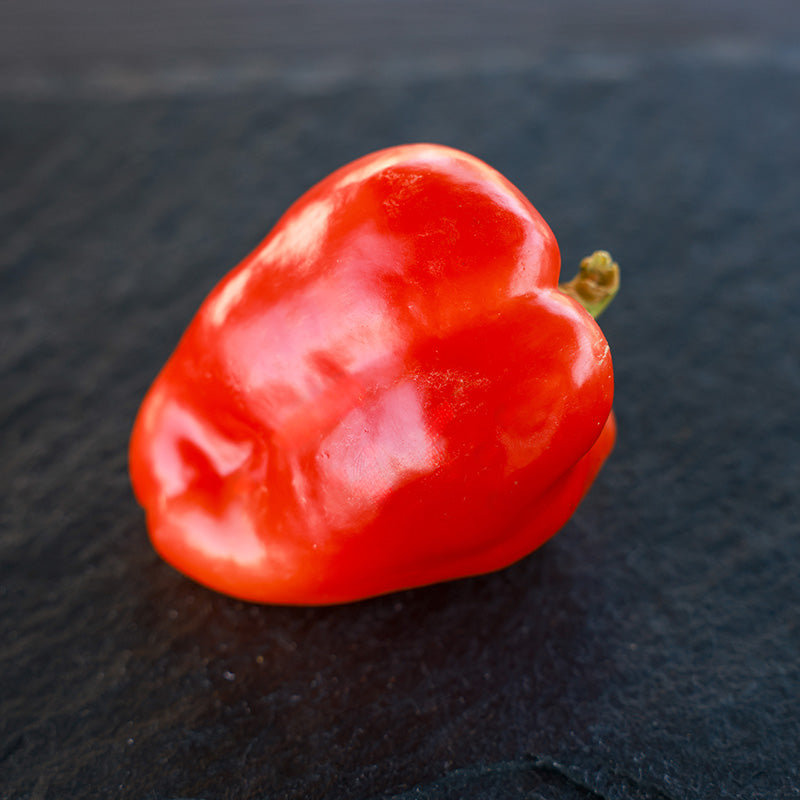Pepper Silverado F1 Seed