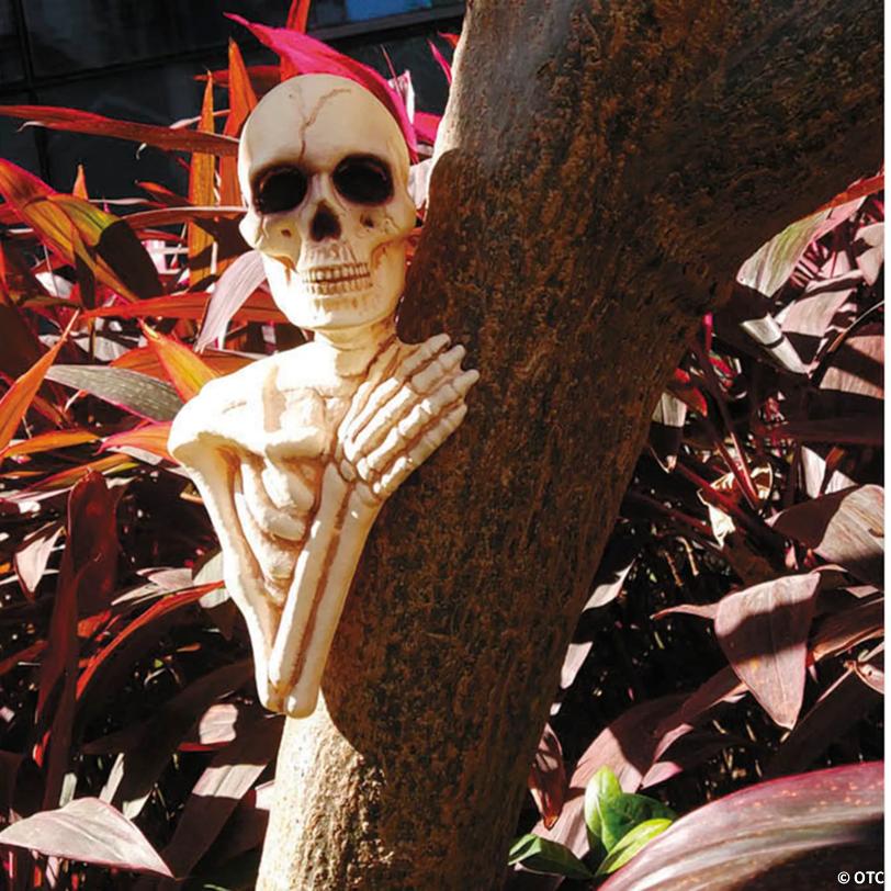 13 3/4" x 4 3/4" Skeleton Tree Peekers Plastic Halloween Decoration