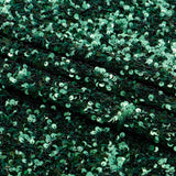 Stretch Velvet Sequin Fabric