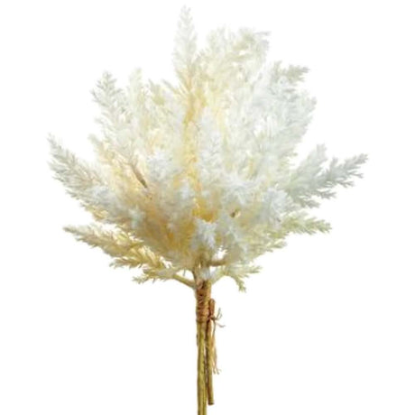 Pampas Grass Spray Ivory