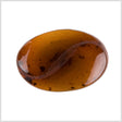 Amber Plastic Button - 54L/34mm