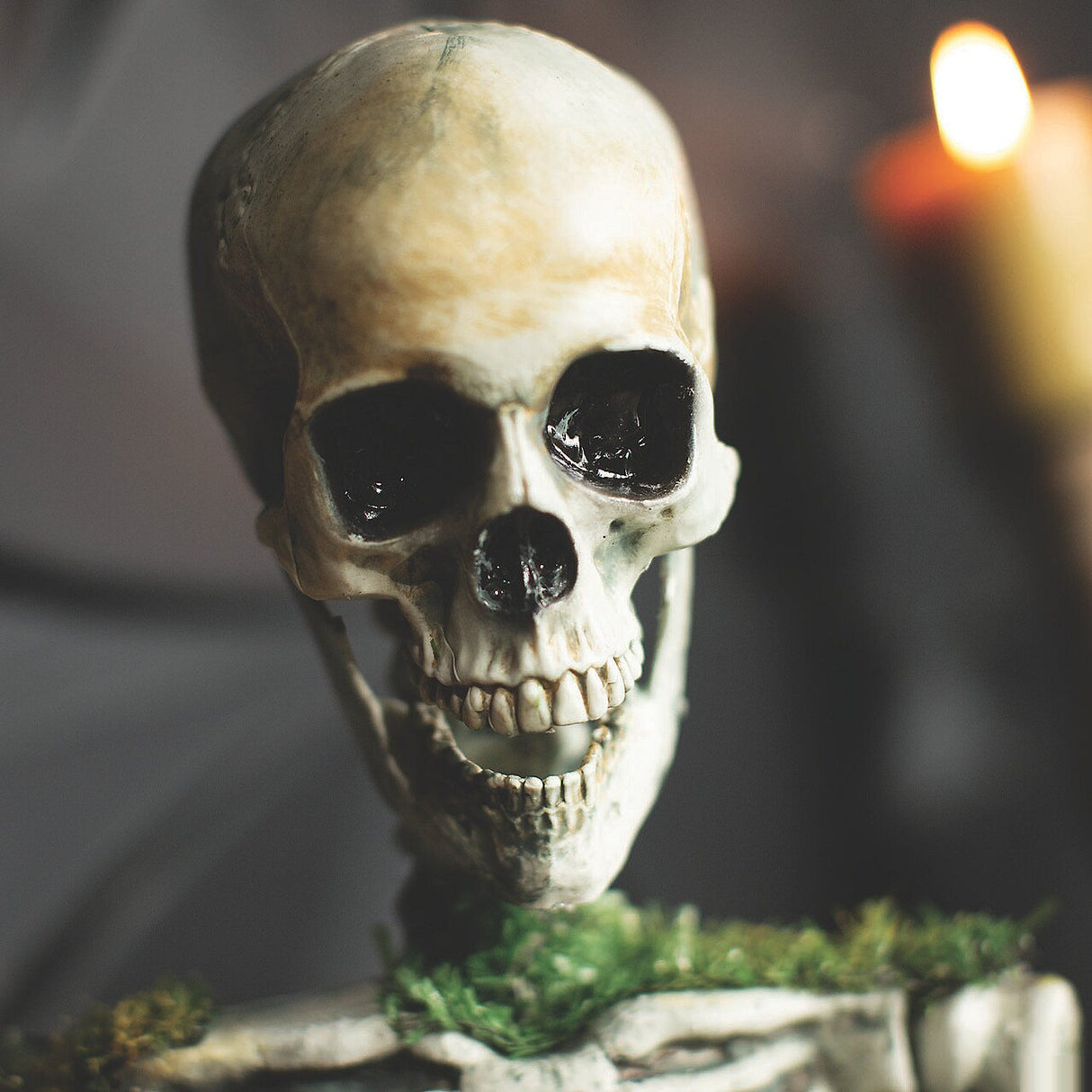 Animated Mossy Skeleton Tabletop Halloween Decoration 9 3/4" x 14 3/4"