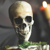 Animated Mossy Skeleton Tabletop Halloween Decoration 9 3/4" x 14 3/4"