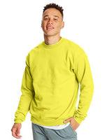 Hanes® Ecosmart Crewneck Long Sleeve Sweatshirt