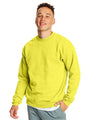Hanes® Ecosmart Crewneck Long Sleeve Sweatshirt
