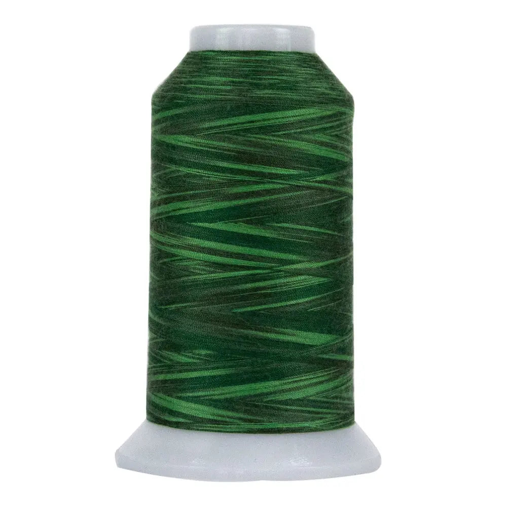 Variegated Polyester Quilting Thread