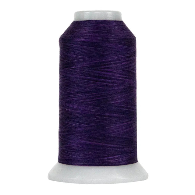 Polyester Quilting Thread Purple Majesty Variegated
