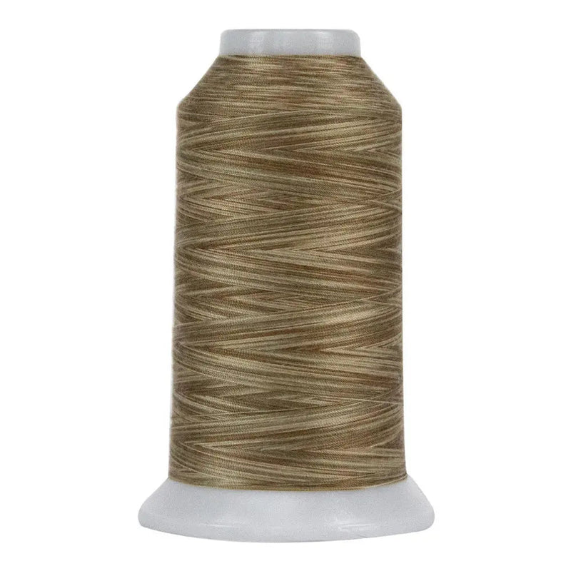 Polyester Quilting Thread Pebble Beach Variegated
