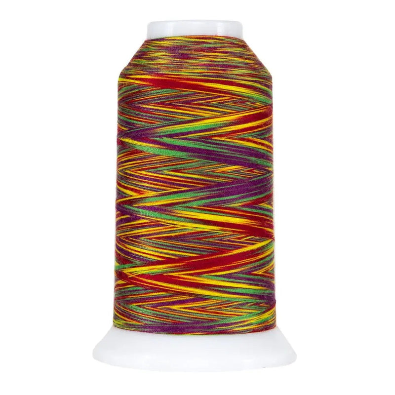 Variegated Polyester Quilting Thread Circus Omni