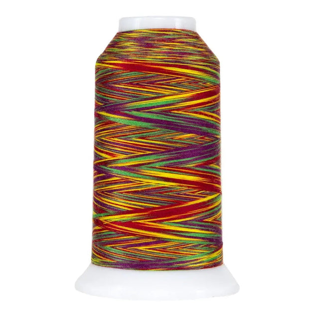 Variegated Polyester Quilting Thread Circus Omni