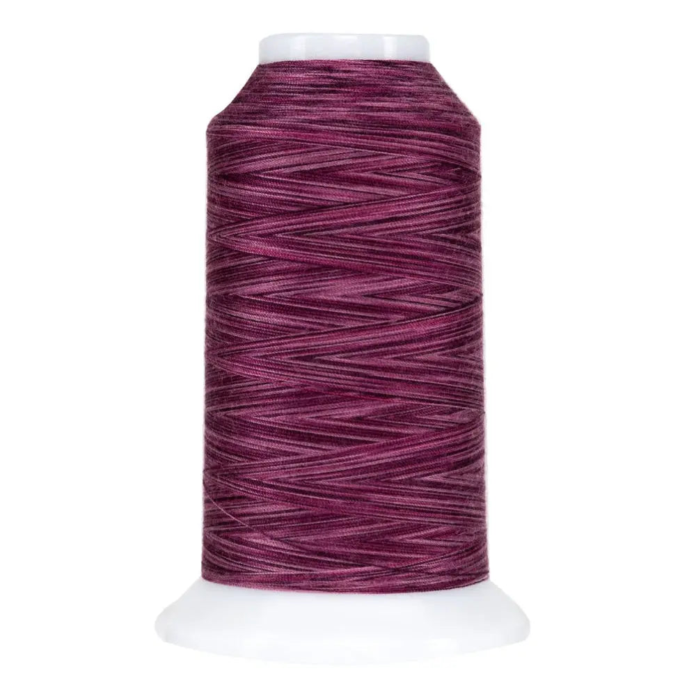 Polyester Thread Bumbleberry Variegated Quilting Thread