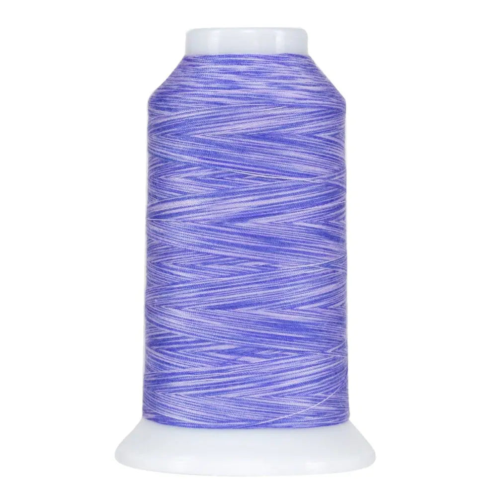 Polyester Thread Paisley Purple Variegated Cone