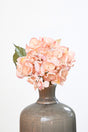 22" Dried Grand Hydrangea Stem - Pink