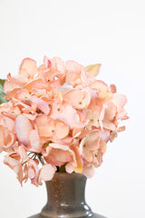 22" Dried Grand Hydrangea Stem - Pink
