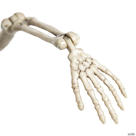RADYAN Posable Plastic Skeleton Halloween Decoration with Movable Limbs shown in a clear product image