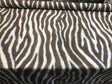 Zany Zebra Ice Blue Cotton Fabric - Zebra Print, 56" Width (1 Yard)