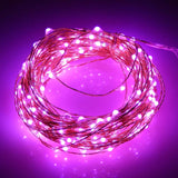 Christmas Fairy Lights 100 LED