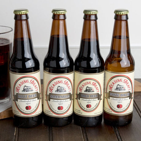 Reading Soda Works Dutch Sampler 12 fl. oz. - 12/Case