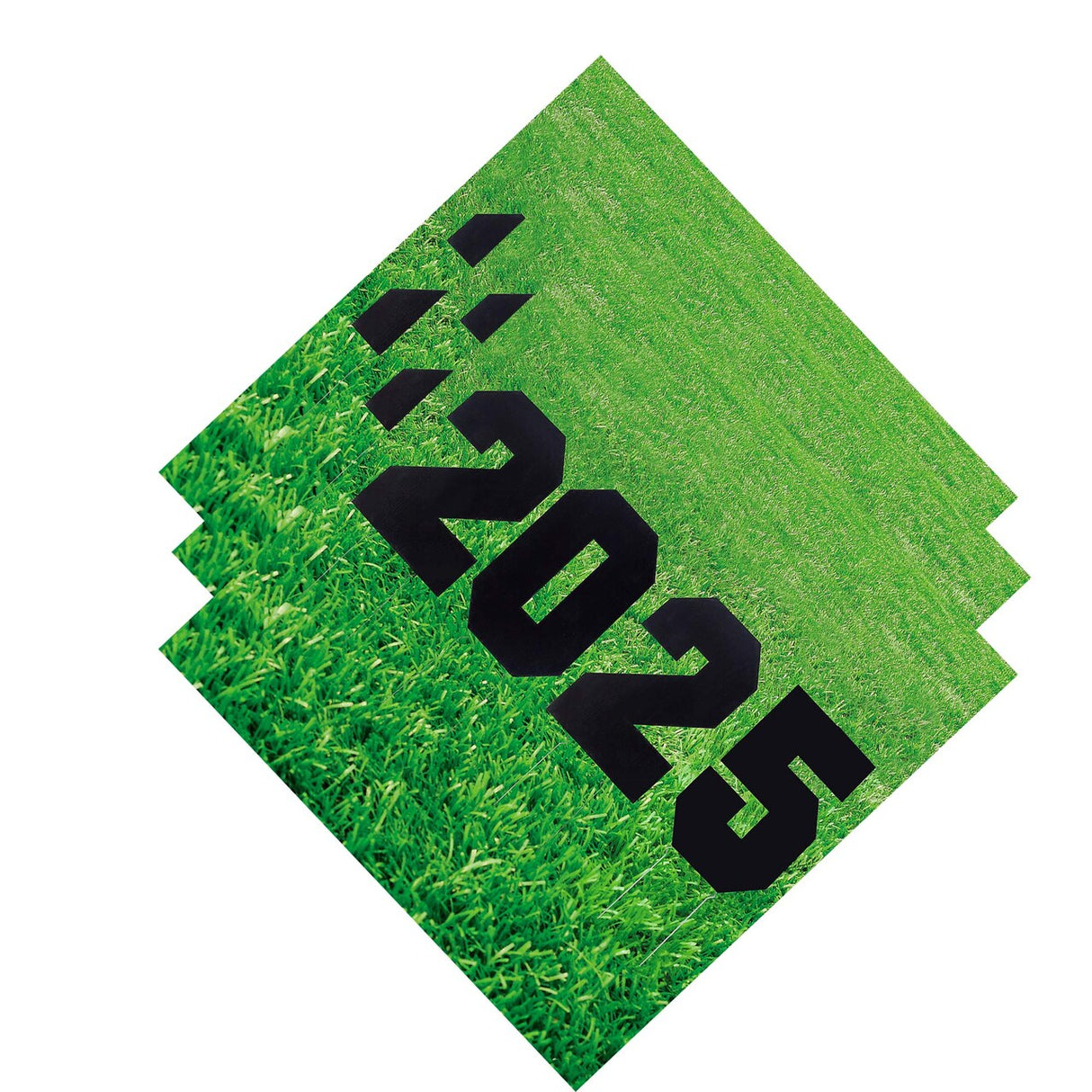 12 1/2" x 25" 2025 Black Plastic Outdoor Yard Signs – Set of 4