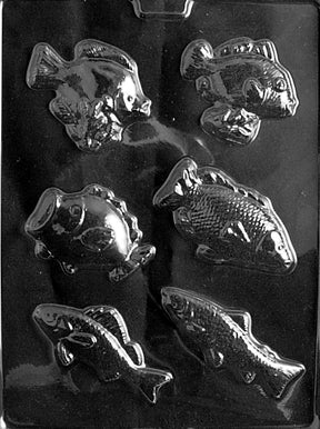 Assorted Fish Chocolate Mold - LPN044