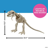 15 1/2" Light-Up Tyrannosaurus Rex Skeleton Animated Prop Halloween Decoration