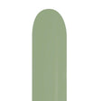 Entertainer Balloons 160S Sempertex Deluxe Eucalyptus
