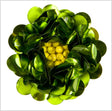 2" Lime Fancy Applique