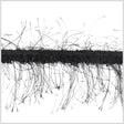 Black Eyelash Fringe