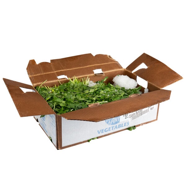 Bunched Cilantro - 30/Case