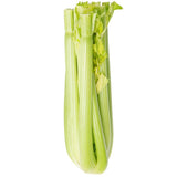 Fresh Celery - 30/Case
