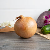 Spanish Yellow Onion 10 lb.