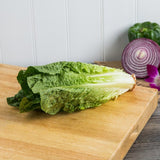 California Romaine Lettuce - 24/Case