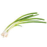 Iceless Scallions 2 lb. - 4/Case