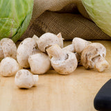 Fresh Button Mushrooms 10 lb.