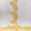 Beaded Lace Trimming on Polyester Organza