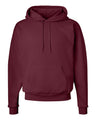 Hanes® Ecosmart Long Sleeve Hooded Sweatshirt
