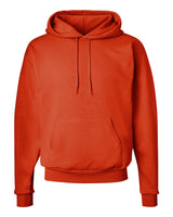 Hanes® Ecosmart Long Sleeve Hooded Sweatshirt