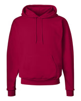 Hanes® Ecosmart Long Sleeve Hooded Sweatshirt