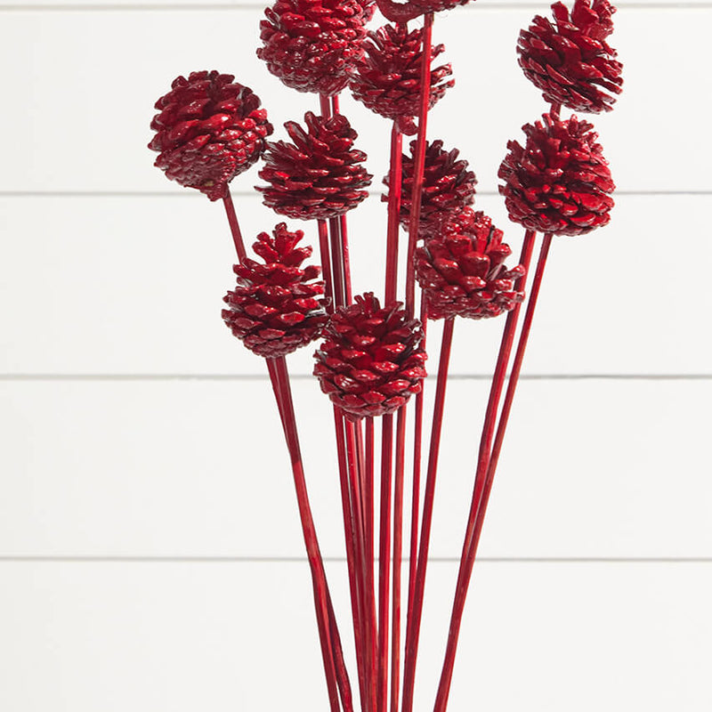 21" Euro Cone Pick - Red