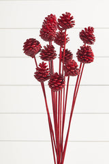21" Euro Cone Pick - Red