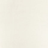 1 Yard Light Ivory Solid Stretch Cotton Brushed French Terry Sweatshirt Fabric 64 Inches Width